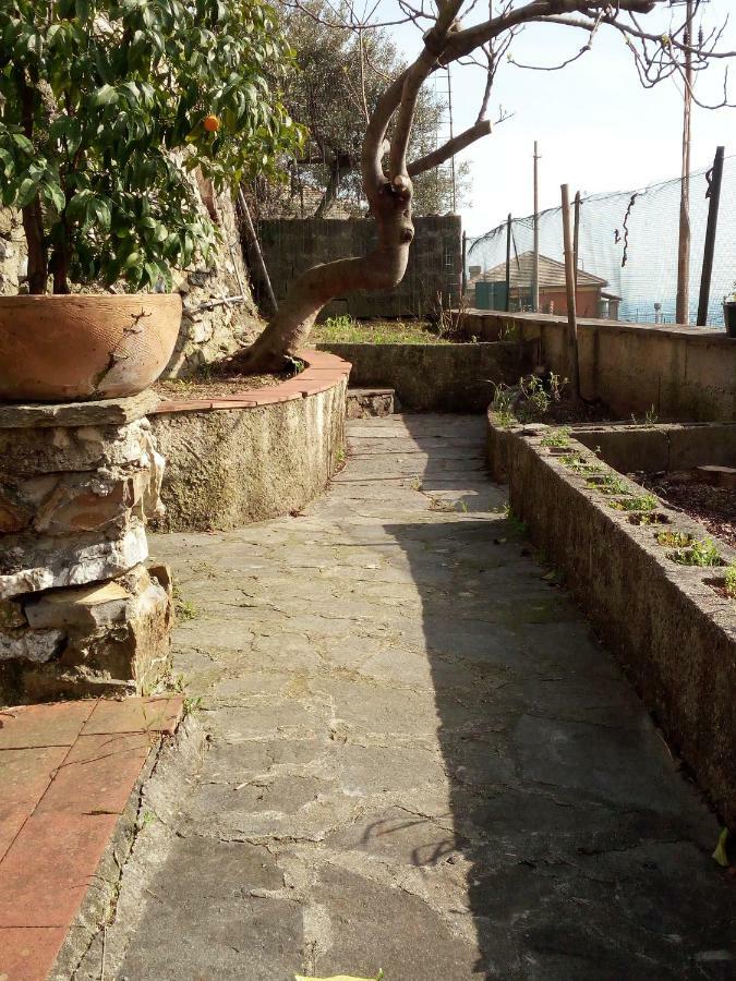 Casa Picasso Lägenhet Genua Exteriör bild