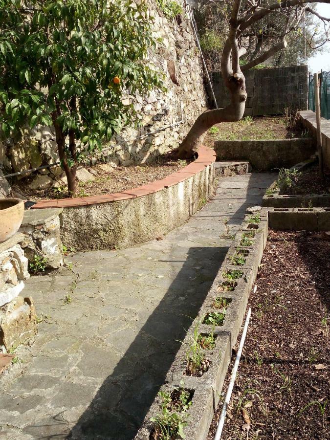 Casa Picasso Lägenhet Genua Exteriör bild