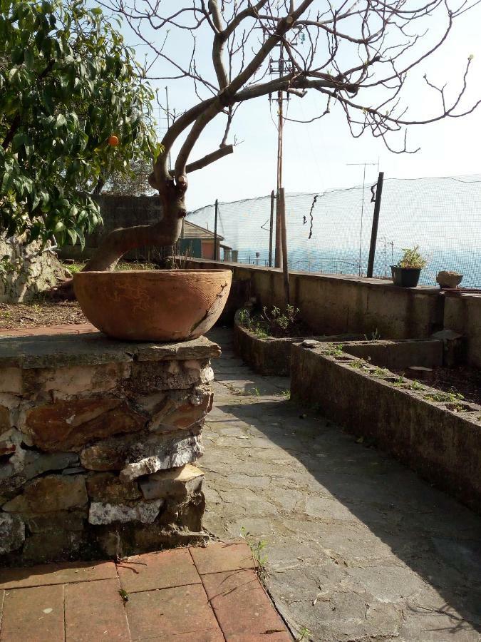 Casa Picasso Lägenhet Genua Exteriör bild