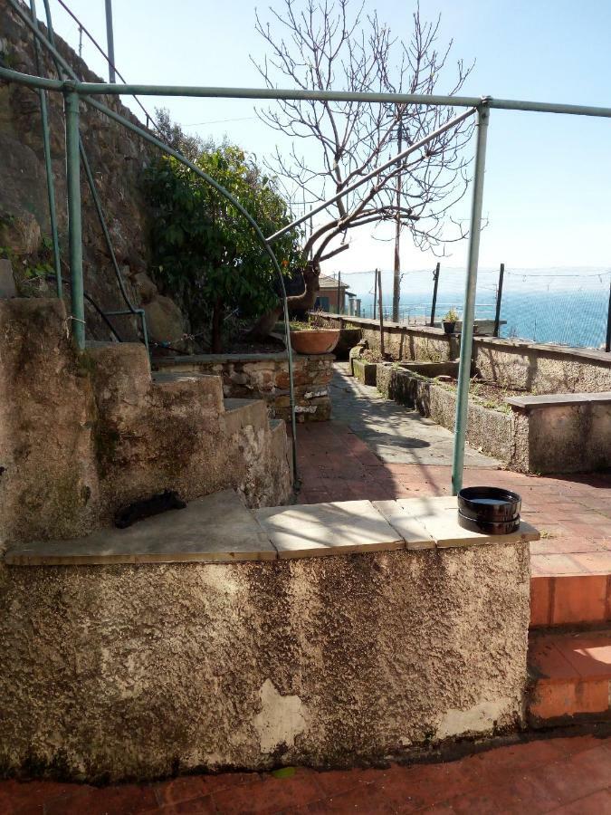 Casa Picasso Lägenhet Genua Exteriör bild